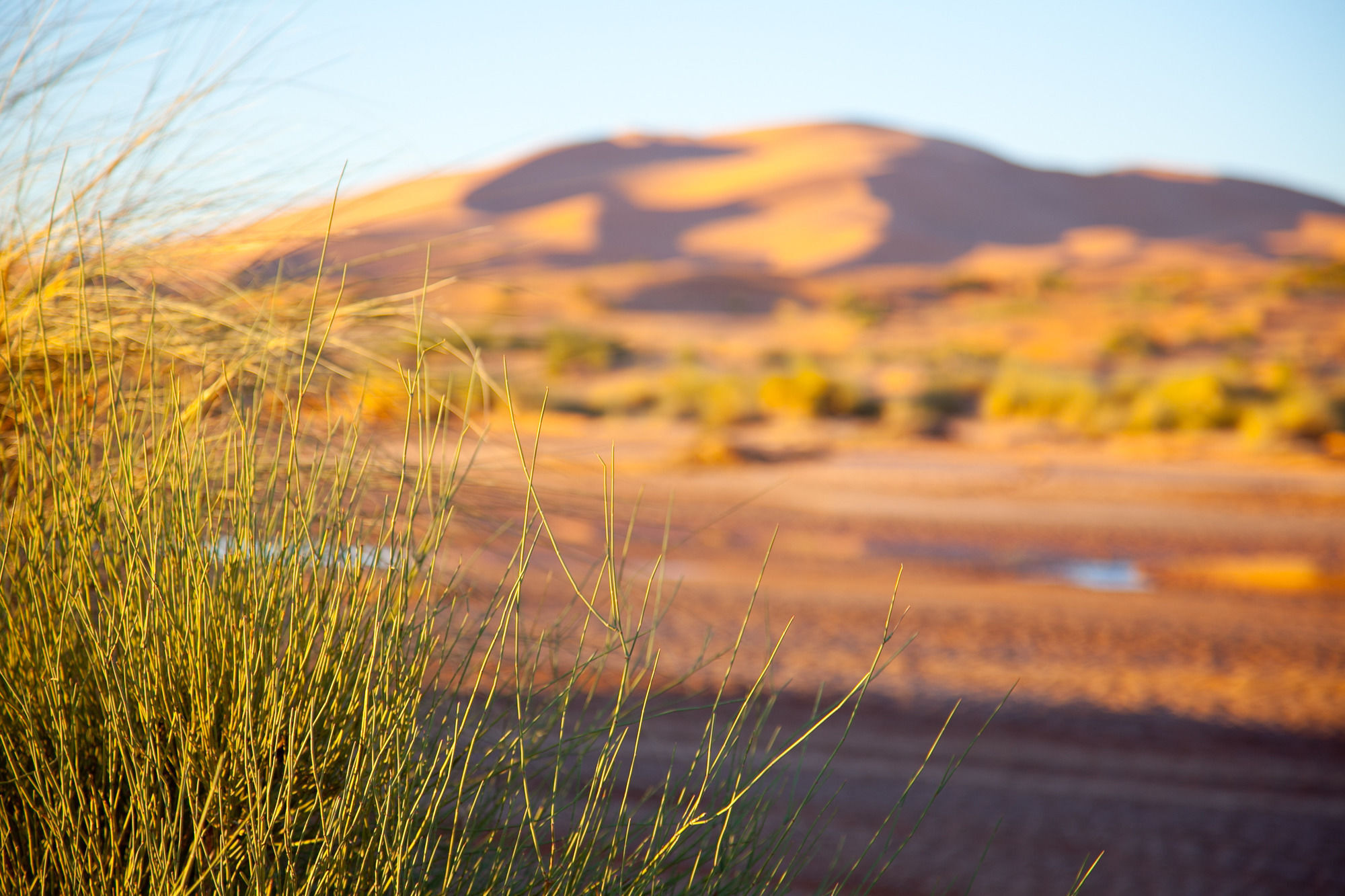 Kam Kam Dunes Merzouga Dış mekan fotoğraf